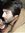 Rizwan ...