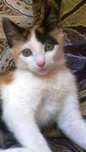Kaoutar Labriyaj