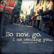 Төгөлдөрбаяр Сфс