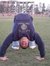 Ahmed B...