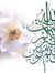 نور الغائب
