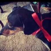 Donna Wolverton-Anderson