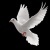 Hanene Abdessemed