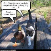 Hrönn Jóhannsdóttir