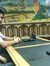 Ahmad A...