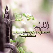 سارة العامرى