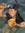 Ching Gabayan