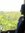 Shruthi