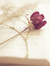 Mary