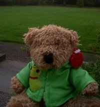 Bigbear Woolliscroft