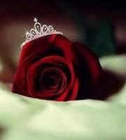 Noor Dawn