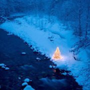 Цэцэнзаяа Төрбат