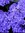 Elephas (maximumstrength) | 0 comments