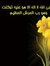 Mohamme...