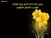 Mohammed Darabseh