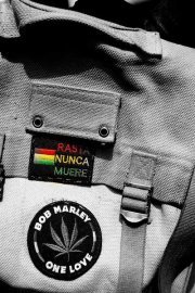 Andrés Bravo eggerstedt