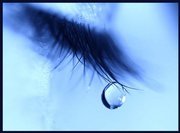 السديم الصافي