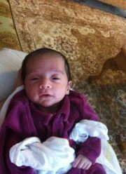 Ahmed Malik