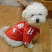 Chalida Channopparat