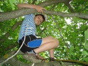 Цветан Ценов