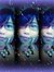 Ervina ...