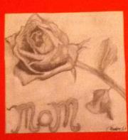 Erin Johnson hendricks