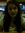Adina I...