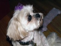 Deborah Rudnicki applegate