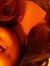 Daijah ...