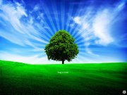 أحمد الأحمد