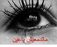 Nour Mousa