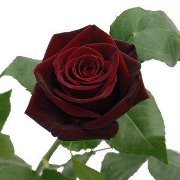 Arundhati Chakraborty