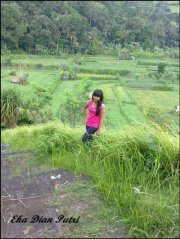 Eka Putri