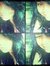 Rizka W...