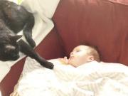 Carray Spada-wileschael