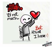 Shahinaz Ahmed