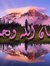 Alaa Magdy