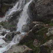 زكرياء العلمي السلاوي