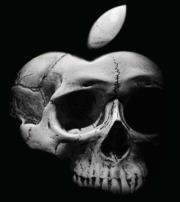 Rashadat Ismayilzada