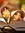 Gehad | 23 comments