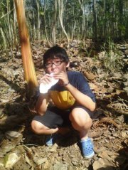 Valentinus Yulindra