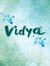 Vidya Raj