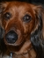 Bethanne
