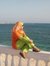 Sherin Ali