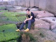 Mostafa Fouad