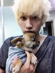 Yongxin Teddyislove