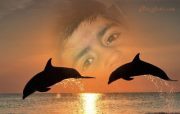 Parth Trivedi