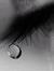 Walaa N...