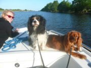 Kristin Schultz-powell