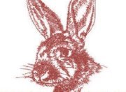 Northfork Rabbitfarm